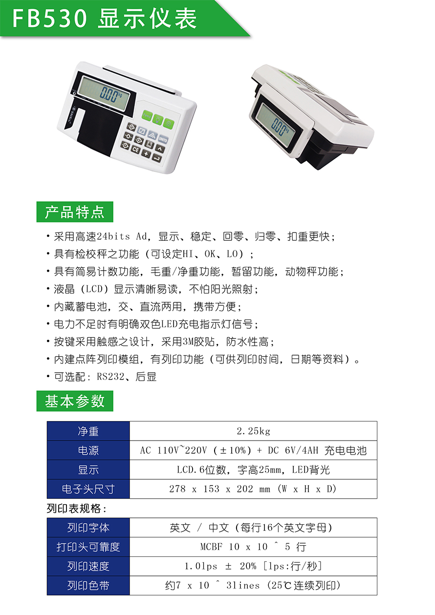 FB530打印儀表